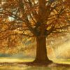 blog Onrust van Debbie de Jong