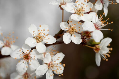 Is het een oud verhaal wat herhaald wordt? - Debbie de Jong